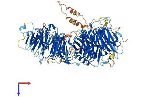 AlphaFold protein structure predicition of Mouse Recombinant Llgl1 Protein, UniprotID Q80Y17