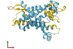 AlphaFold protein structure predicition of Human Recombinant SLC25A10 Protein, UniprotID Q9UBX3