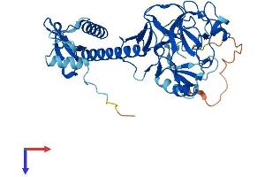 AlphaFold protein structure predicition of Mouse Recombinant Suv39h1 Protein, UniprotID O54864