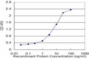 anti-WD Repeat Domain 36 (WDR36) (AA 853-951) antibody
