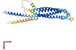 AlphaFold protein structure predicition of Mouse Recombinant Gpm6b Protein, UniprotID P35803
