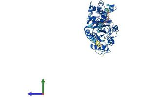 AlphaFold protein structure predicition of Human Recombinant GNA13 Protein, UniprotID Q14344