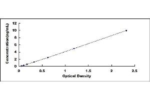 Typical standard curve (ABCC2 Kit ELISA)
