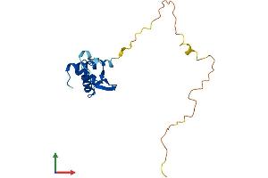 AlphaFold protein structure predicition of Human Recombinant RPS10 Protein, UniprotID P46783