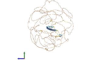 AlphaFold protein structure predicition of Human Recombinant TSC22D1 Protein, UniprotID Q15714