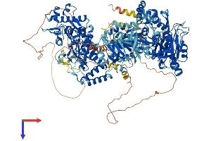 AlphaFold protein structure predicition of Mouse Recombinant Nos1 Protein, UniprotID Q9Z0J4