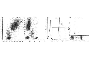 Image no. 1 for anti-CD4 (CD4) antibody (ABIN1106336) (CD4 anticorps)