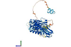 AlphaFold protein structure predicition of Human Recombinant SRMS Protein, UniprotID Q9H3Y6