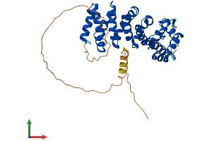 AlphaFold protein structure predicition of Human Recombinant ARMC10 Protein, UniprotID Q8N2F6