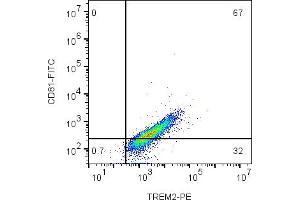 Cell surface multicolor flow cytometry analysis of live intact mouse  microglia cells with CD81 and TREM2: cells were labeled with Anti-CD81 (extracellular)-FITC Antibody (ABIN7582017), (5 μg) and with Anti-TREM2 (extracellular)-PE Antibody (ABIN7043867, ABIN7045598, ABIN7045599 and ABIN7045600), (5 μg). (CD81 anticorps  (Extracellular) (FITC))