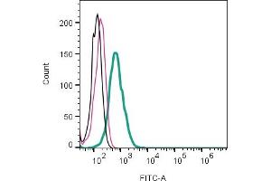 Cell surface detection of Leptin Receptor by direct flow cytometry in live intact mouse TK1 T-cell lymphoma cell line: + Rabbit IgG isotype control-FITC (ABIN7582044).