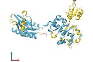 AlphaFold protein structure predicition of Mouse Recombinant Nprl2 Protein, UniprotID Q9WUE4