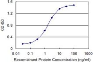 Detection limit for recombinant GST tagged DYRK1B is 0.