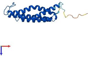 AlphaFold protein structure predicition of Human Recombinant MGST3 Protein, UniprotID O14880