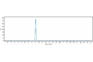 anti-Prolactin Receptor (PRLR) antibody