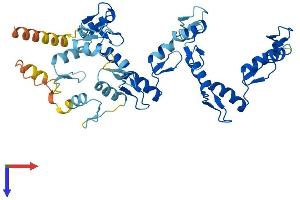 AlphaFold protein structure predicition of Human Recombinant ZNF260 Protein, UniprotID Q3ZCT1