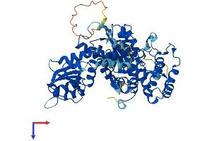 AlphaFold protein structure predicition of Human Recombinant STXBP2 Protein, UniprotID Q15833