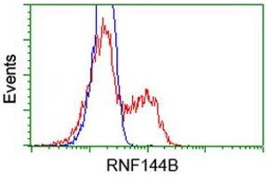 Image no. 3 for anti-Ring Finger Protein 144B (RNF144B) (AA 1-256) antibody (ABIN1490652) (RNF144B anticorps  (AA 1-256))