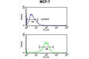 NR1H3 Antibody (Center) flow cytometric analysis of MCF-7 cells (bottom histogram) compared to a negative control cell (top histogram). (NR1H3 anticorps  (Middle Region))
