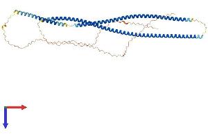 AlphaFold protein structure predicition of Human Recombinant KRT85 Protein, UniprotID P78386