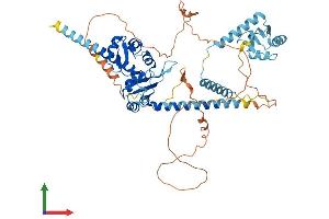 AlphaFold protein structure predicition of Mouse Recombinant Larp7 Protein, UniprotID Q05CL8