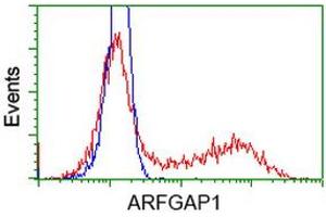 HEK293T cells transfected with either RC206987 overexpress plasmid (Red) or empty vector control plasmid (Blue) were immunostained by anti-ARFGAP1 antibody (ABIN2454350), and then analyzed by flow cytometry. (ARFGAP1 anticorps)