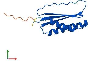AlphaFold protein structure predicition of Mouse Recombinant Dynlt3 Protein, UniprotID P56387