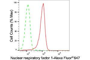 Flow cytometric analysis of Nuclear respiratory factor 1 expression in HepG2 cells using Nuclear respiratory factor 1 antibody (ABIN7799663), 1:2,000). (Recombinant NRF1 anticorps)