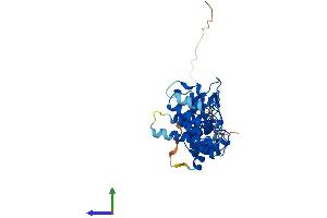 AlphaFold protein structure predicition of Mouse Recombinant Nfkbid Protein, UniprotID Q2TB02