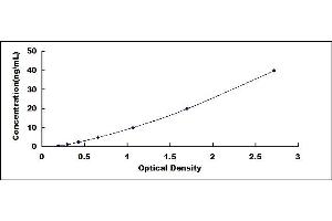 Typical standard curve
