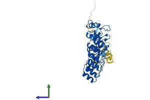AlphaFold protein structure predicition of Mouse Recombinant Asb5 Protein, UniprotID Q9D1A4