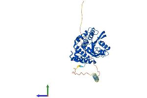 AlphaFold protein structure predicition of Mouse Recombinant Qpctl Protein, UniprotID Q8BH73