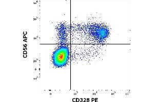 Flow cytometry multicolor surface staining of human peripheral whole blood stained using anti-human CD328 (6-434) PE antibody (10 μL reagent / 100 μL of peripheral whole blood) and anti-human CD56 (LT56) APC antibody (10 μL reagent / 100 μL of peripheral whole blood). (SIGLEC7 anticorps  (PE))