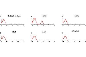 ELISA image for Mouse anti-Rat IgG1 antibody (FITC) (ABIN371211) (Souris anti-Rat IgG1 Anticorps (FITC))