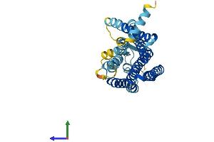 AlphaFold protein structure predicition of Human Recombinant OR1F1 Protein, UniprotID O43749