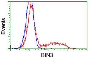 Flow Cytometry (FACS) image for anti-Bridging Integrator 3 (BIN3) antibody (ABIN1496925) (BIN3 anticorps)
