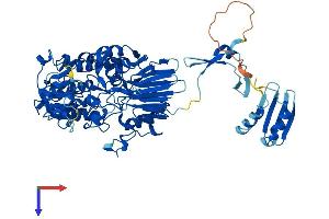 AlphaFold protein structure predicition of Mouse Recombinant Ints9 Protein, UniprotID Q8K114