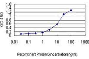 Detection limit for recombinant GST tagged CSE1L is approximately 0. (Exportin 2 anticorps  (AA 872-971))