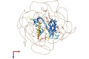 AlphaFold protein structure predicition of Mouse Recombinant Arhgef5 Protein, UniprotID E9Q7D5