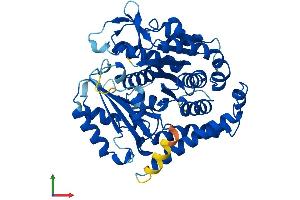 AlphaFold protein structure predicition of Human Recombinant TUBB4B Protein, UniprotID P68371