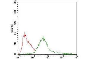 Flow cytometric analysis of HepG2 cells using PRKAG1 mouse mAb (green) and negative control (red).