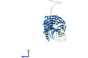 AlphaFold protein structure predicition of Human Recombinant PRPF4 Protein, UniprotID O43172
