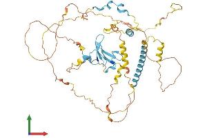 AlphaFold protein structure predicition of Human Recombinant YAP1 Protein, UniprotID P46937