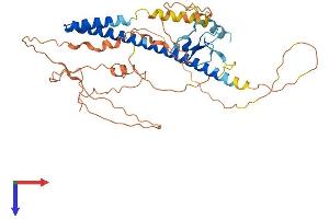 AlphaFold protein structure predicition of Human Recombinant ING1 Protein, UniprotID Q9UK53