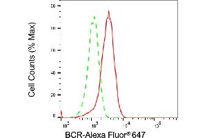 Flow cytometric analysis of BCR expression in HepG2 cells using BCR antibody (ABIN7797789), 1:2,000).