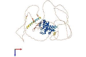 AlphaFold protein structure predicition of Human Recombinant CCNT2 Protein, UniprotID O60583