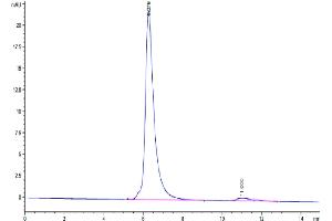The purity of Cynomolgus SEZ6 is greater than 95 % as determined by SEC-HPLC.