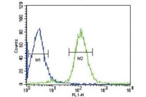 VHL antibody flow cytometric analysis of HepG2 cells (green) compared to a negative control (blue).