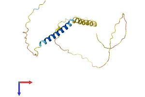 AlphaFold protein structure predicition of Mouse Recombinant Kcne4 Protein, UniprotID Q9WTW3