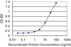 Detection limit for recombinant GST tagged ZNF268 is 0. (ZNF268 anticorps  (AA 1-90))